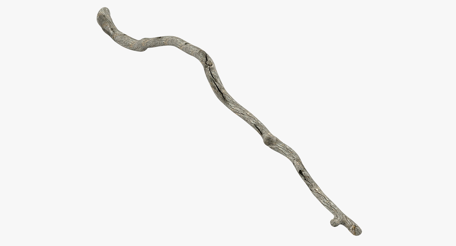 3D model Dry Tree Branch