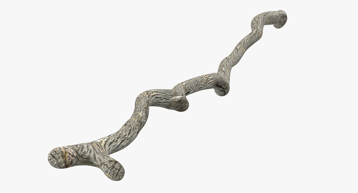 3D model Dry Tree Branch