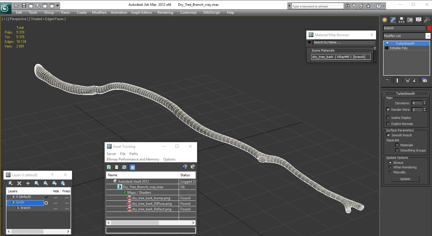 3D model Dry Tree Branch