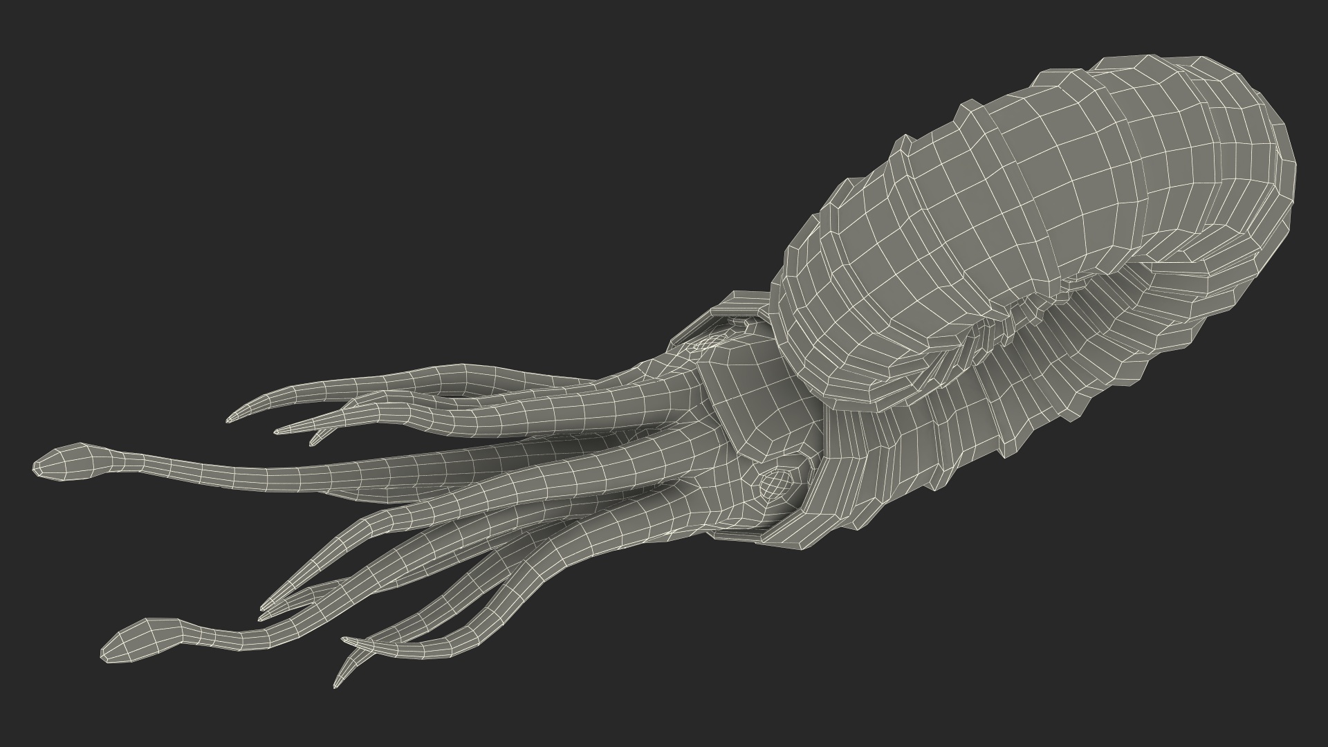 3D Ammonite for 3D Print