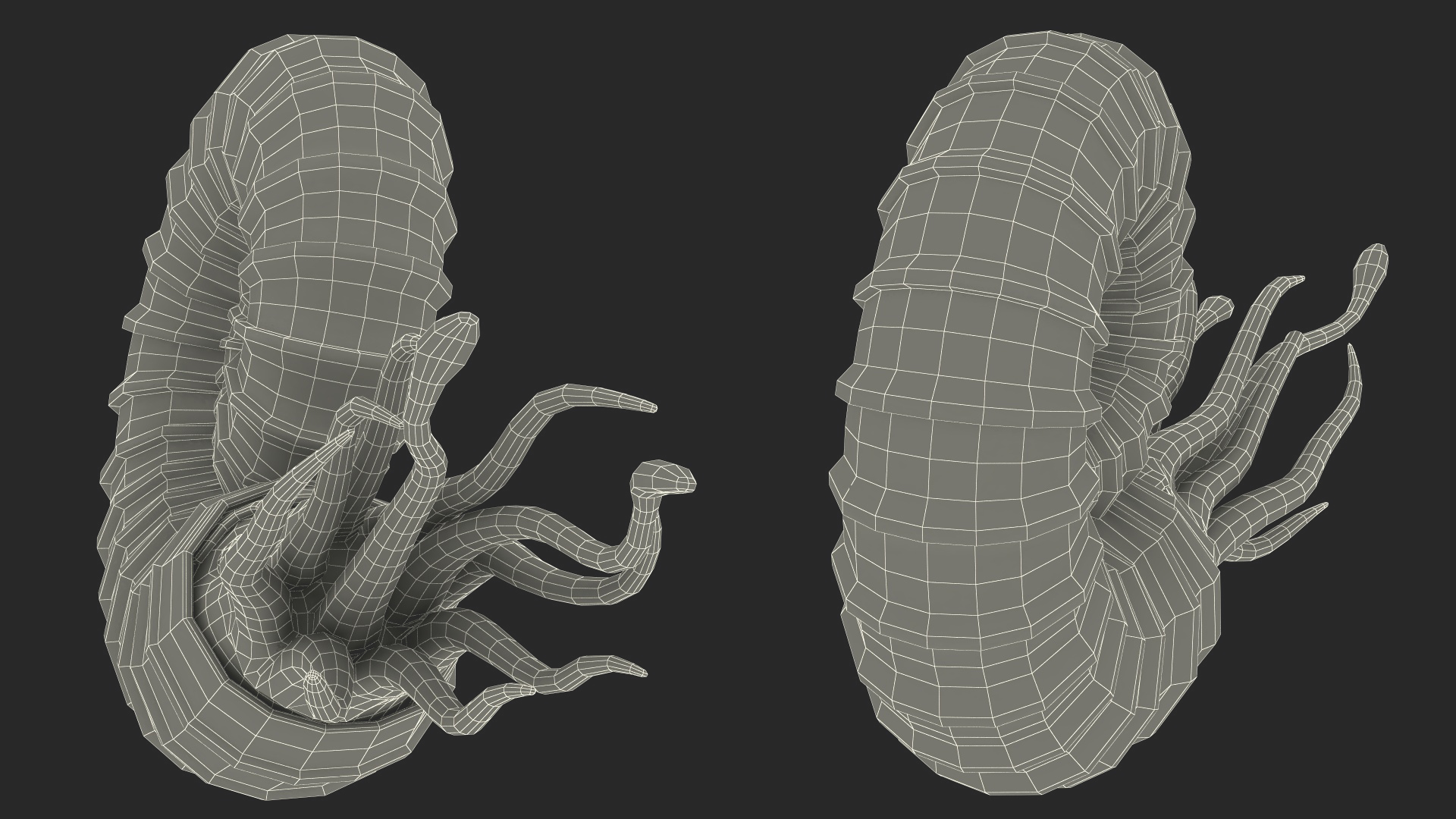 3D Ammonite for 3D Print