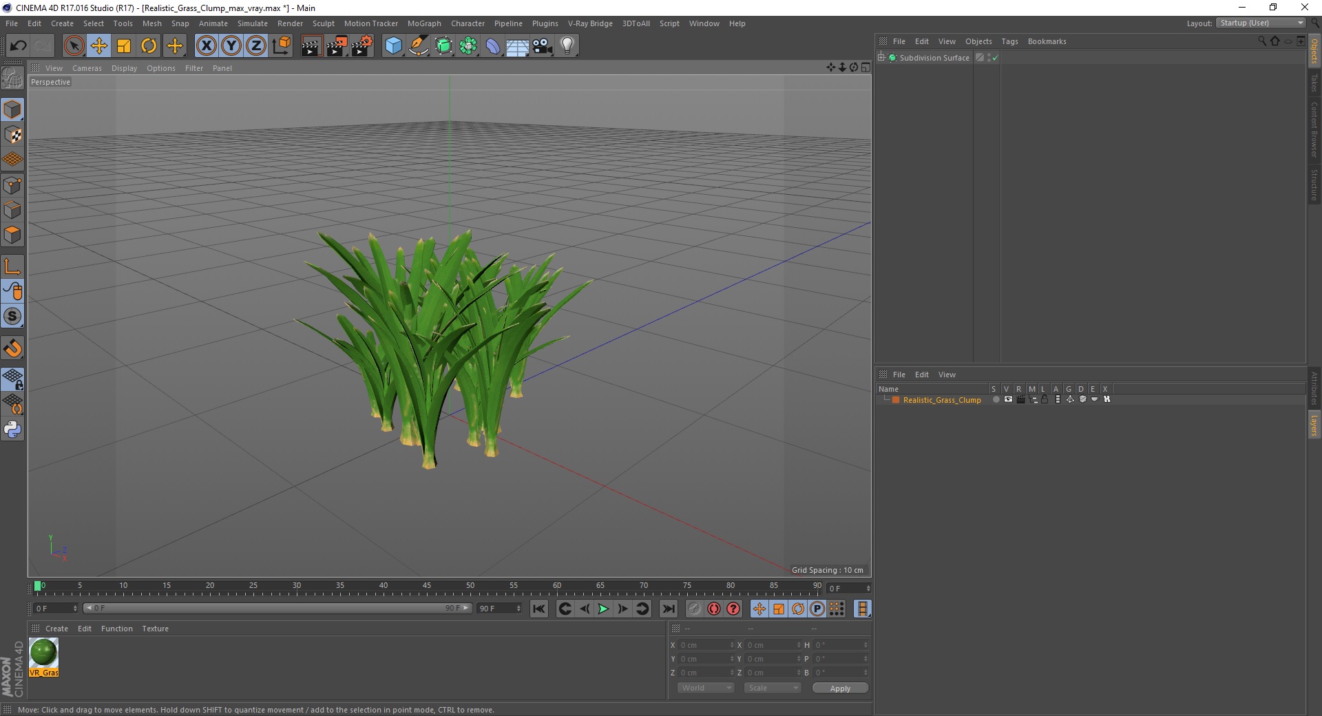 3D Realistic Grass Clump