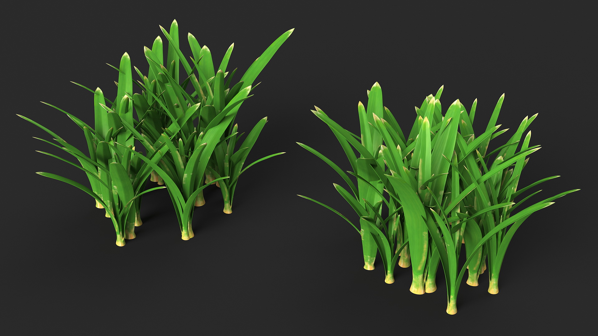 3D Realistic Grass Clump