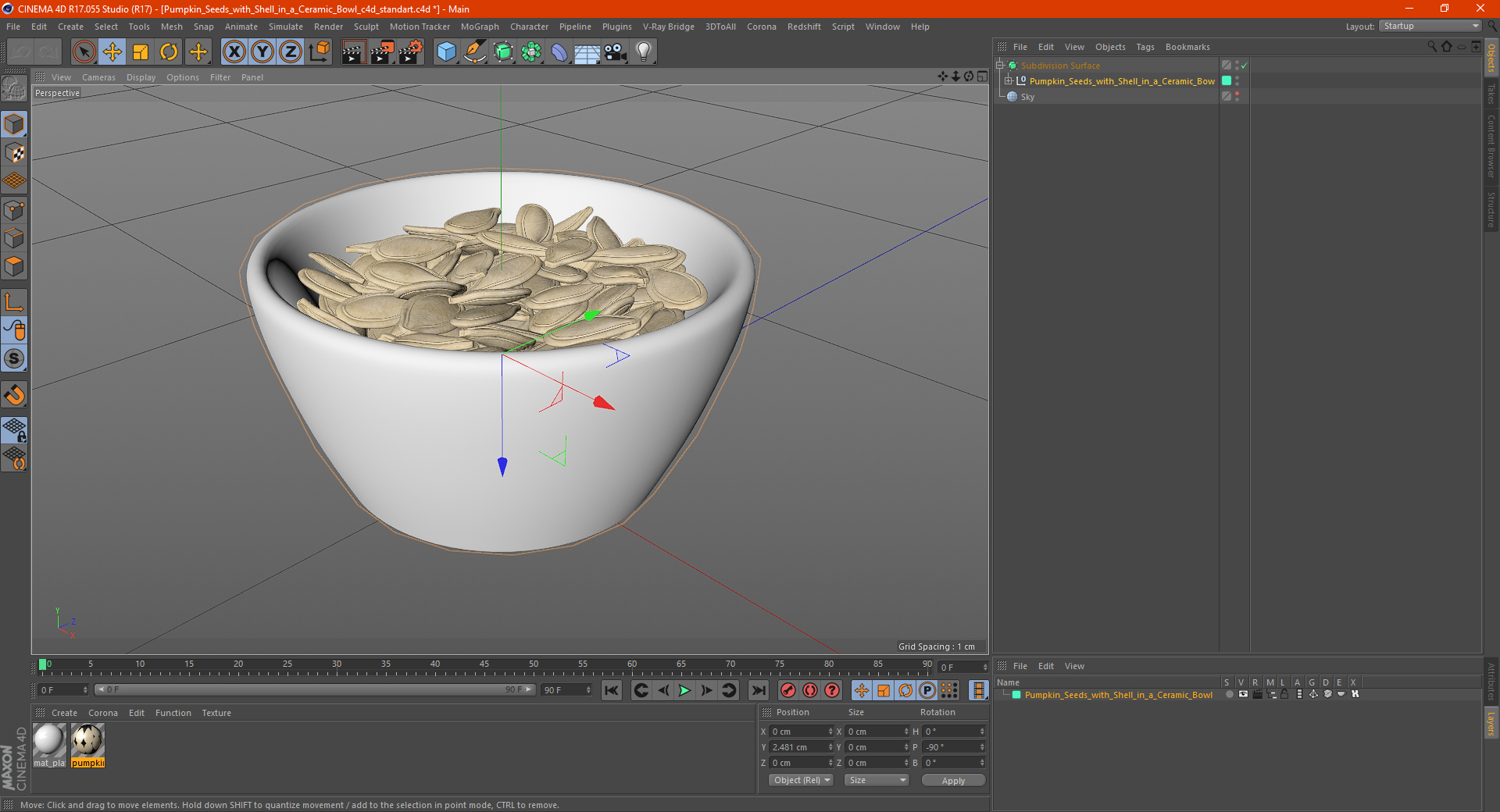 Pumpkin Seeds with Shell in a Ceramic Bowl 3D