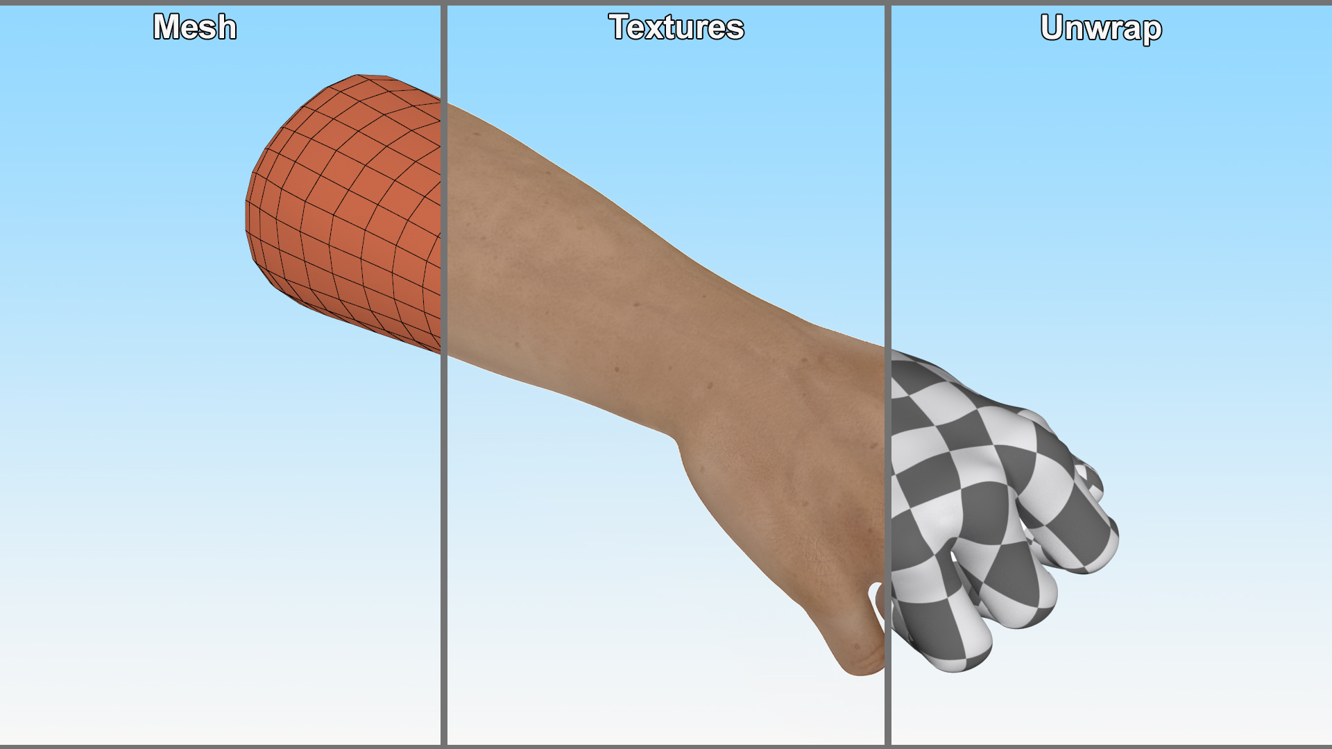 3D Caucasian Man Hand Fist model