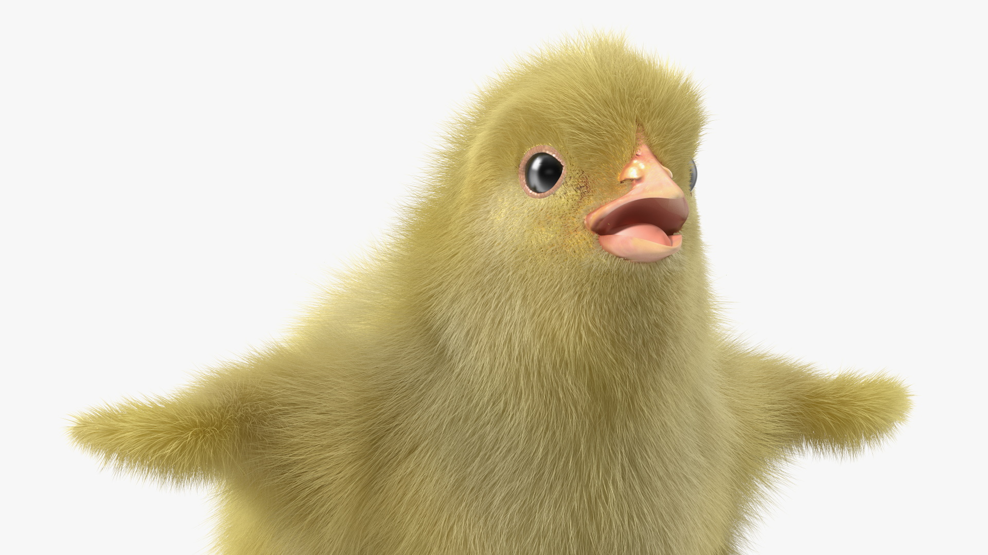 3D model Baby Chick