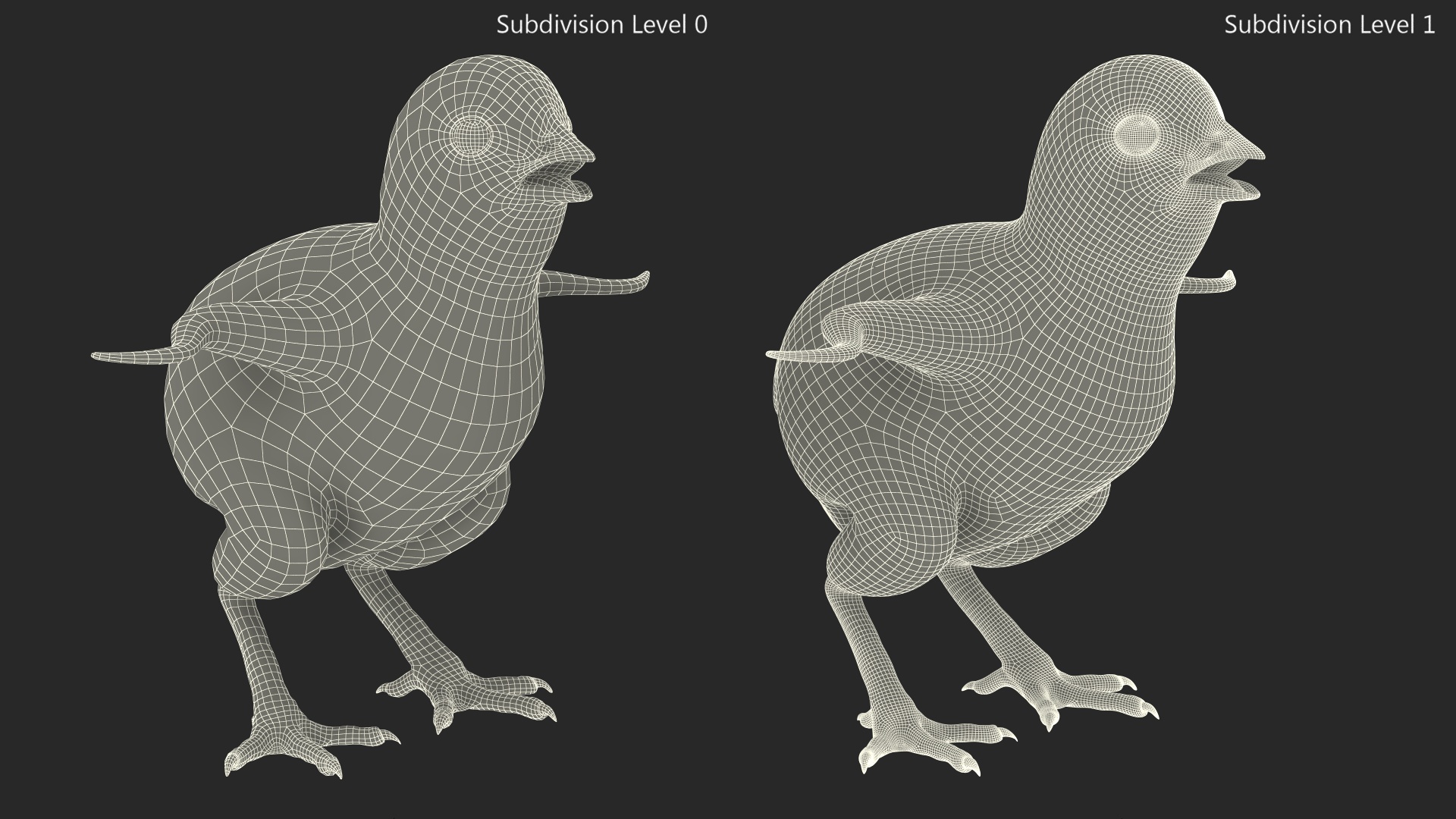 3D model Baby Chick