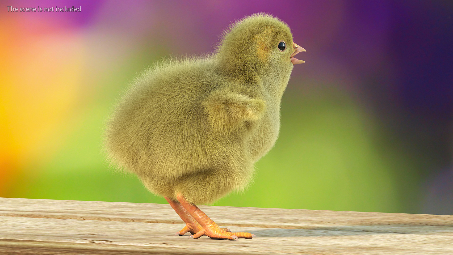 3D model Baby Chick