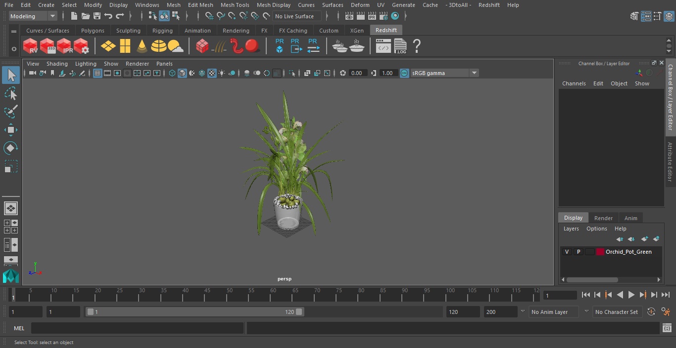 3D Orchid Pot Green