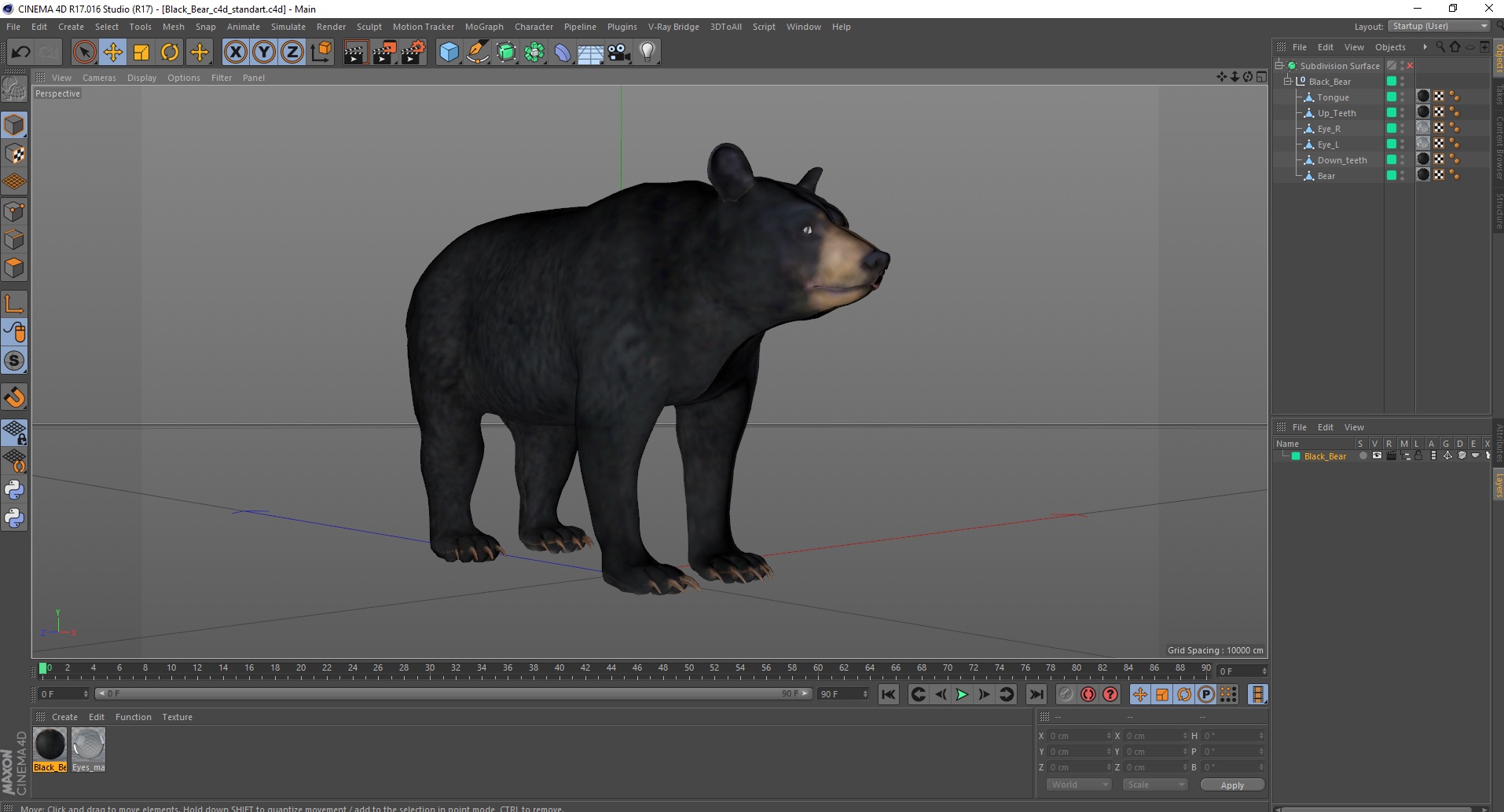 3D model Black Bear