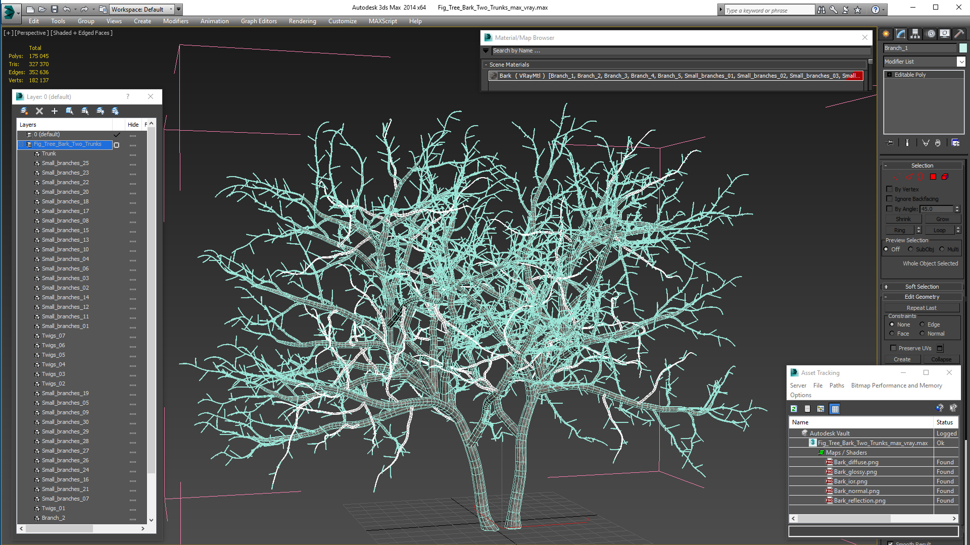 Fig Tree Bark Two Trunks 3D model