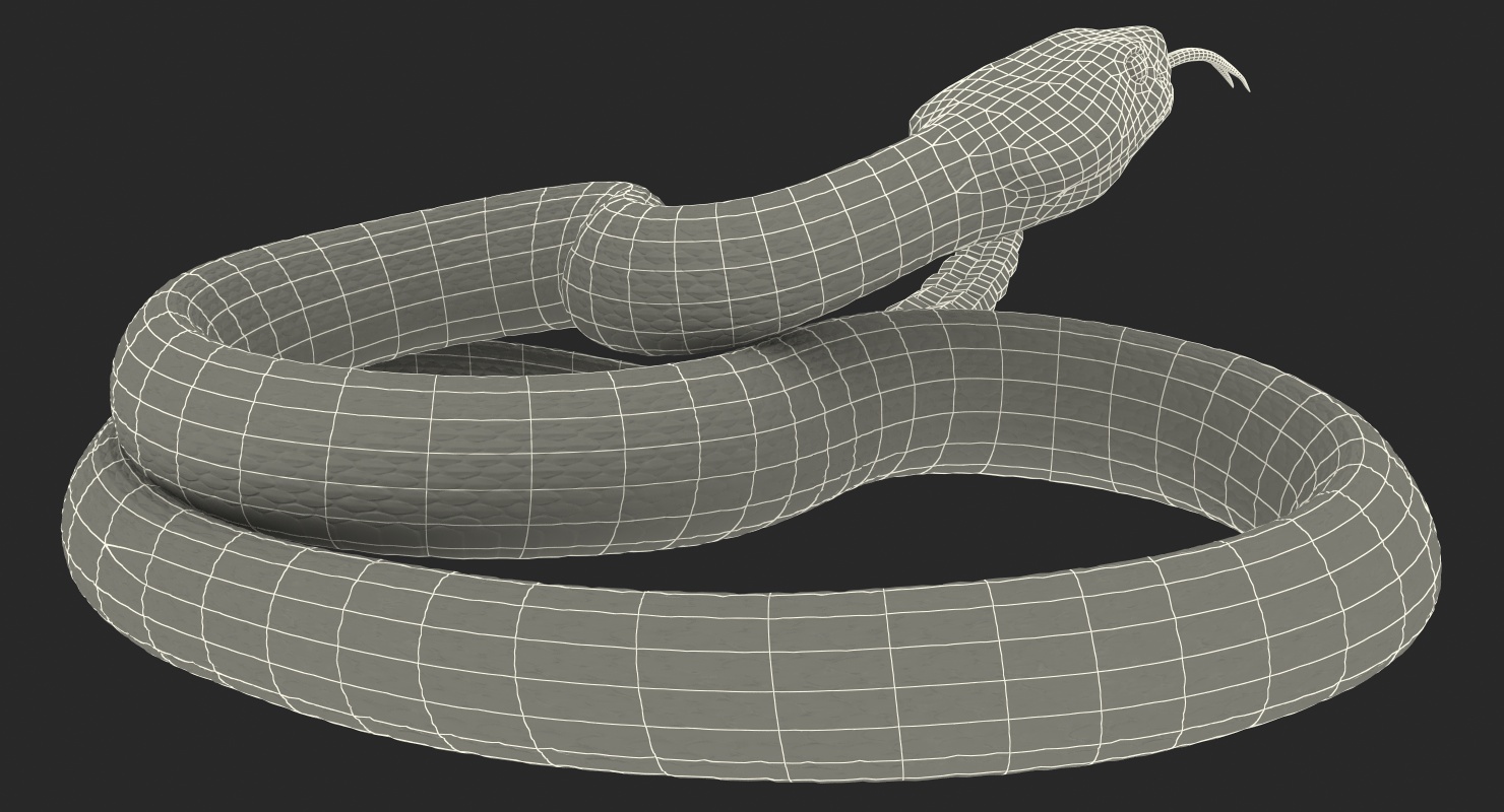 Light Rattlesnake 3D