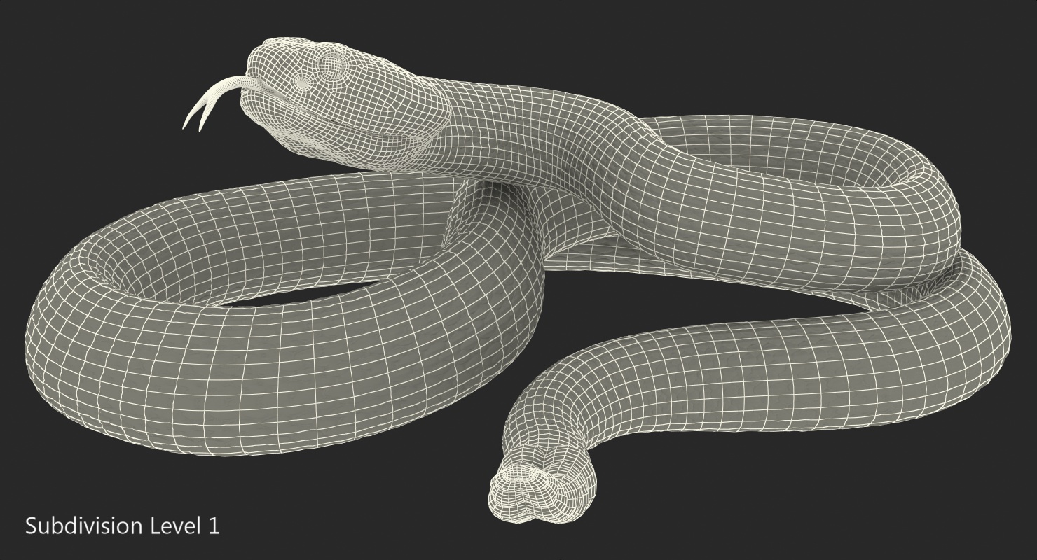 Light Rattlesnake 3D