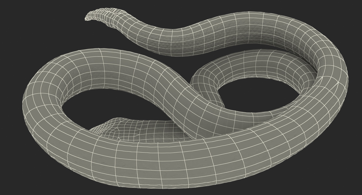 Light Rattlesnake 3D