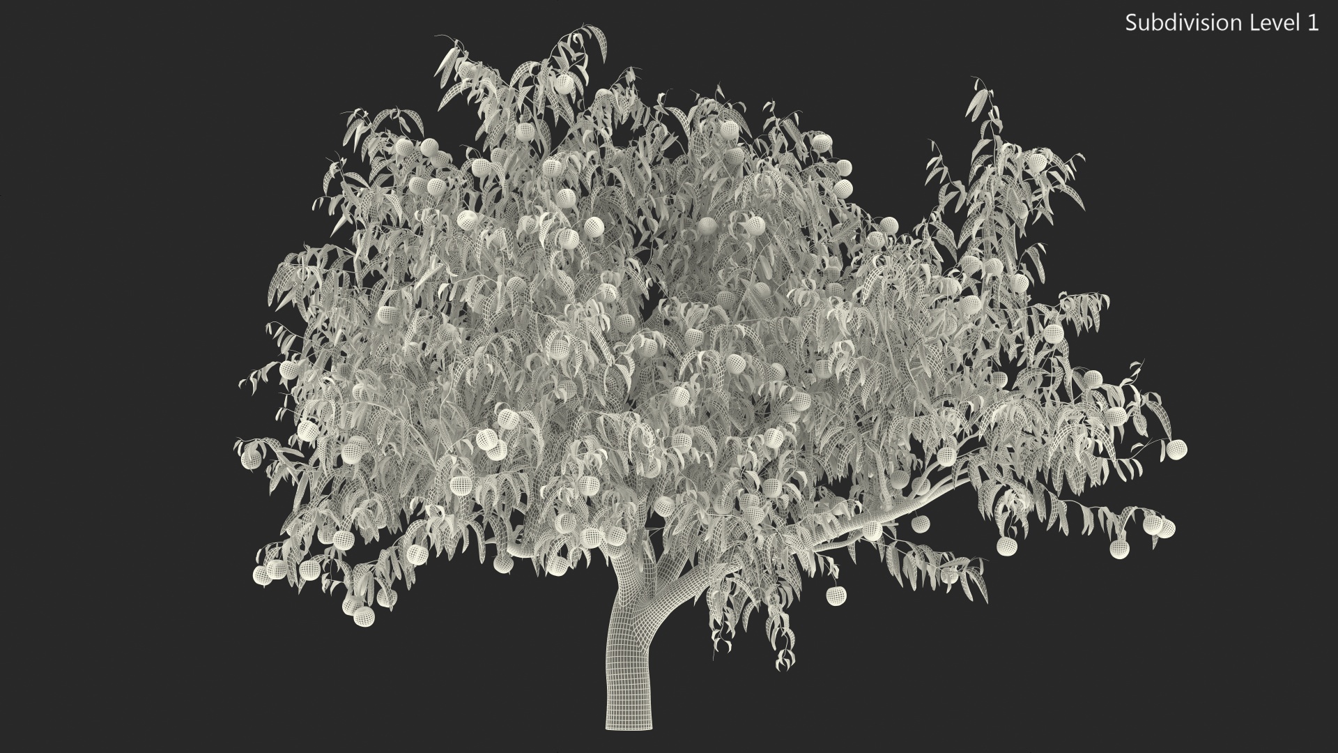 Peach Tree with Fruits 3D