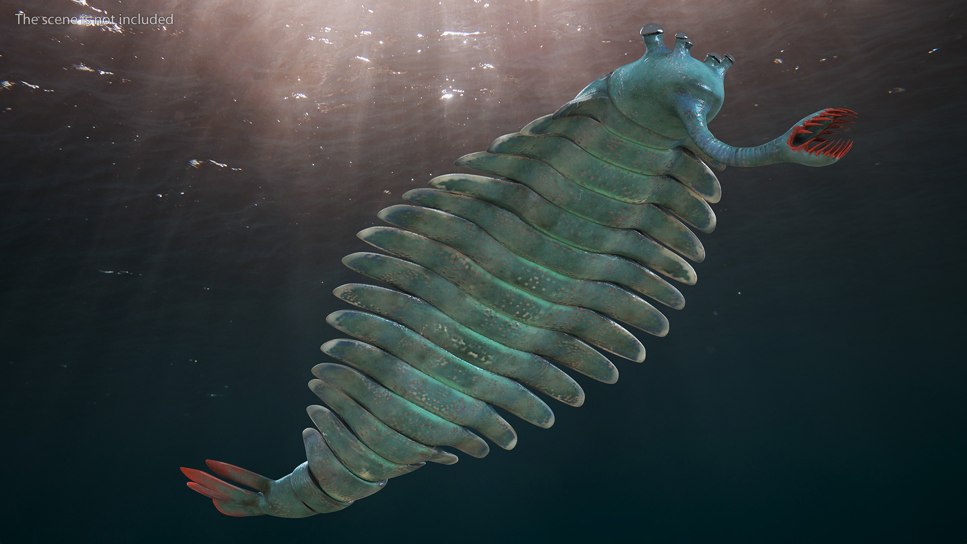 3D Green Opabinia Swimming model