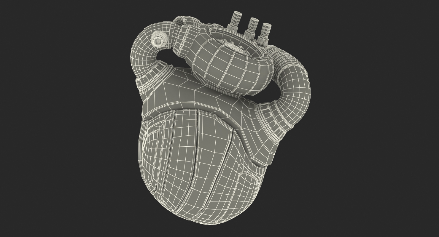 3D Robotic Heart model