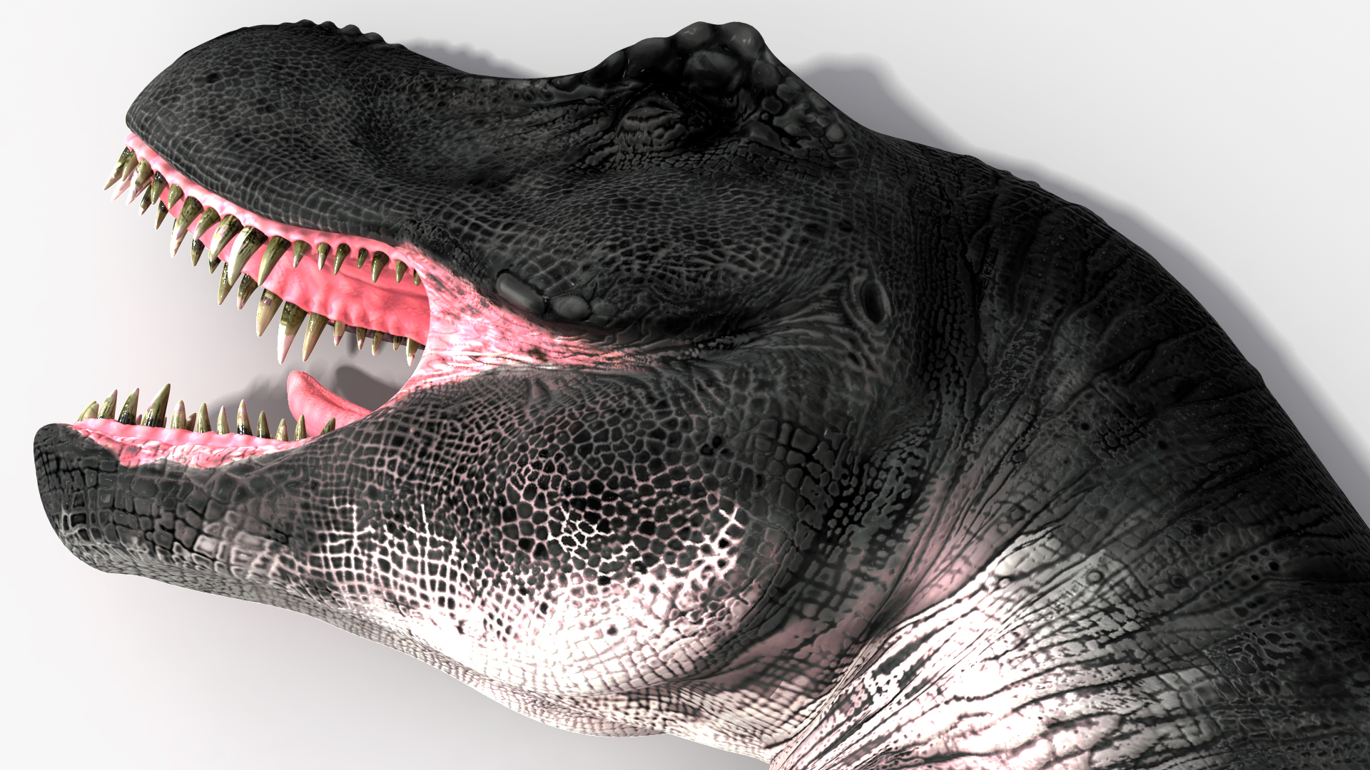 3D T Rex Sleep Pose