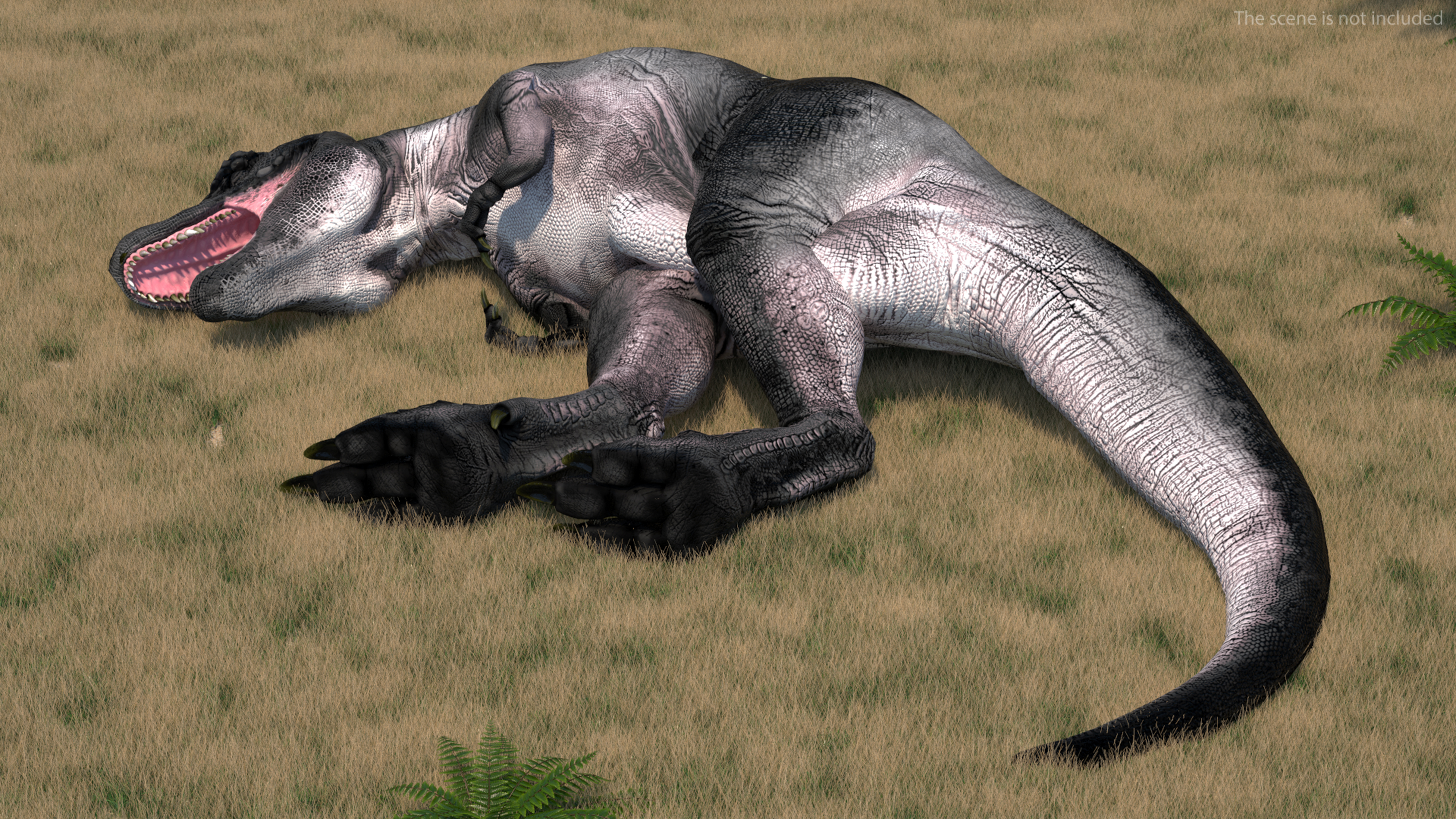 3D T Rex Sleep Pose