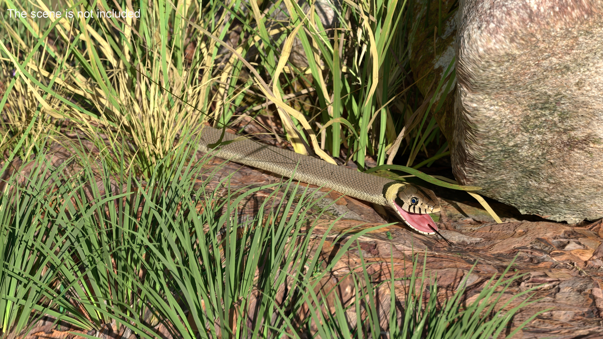 3D Grass Snake