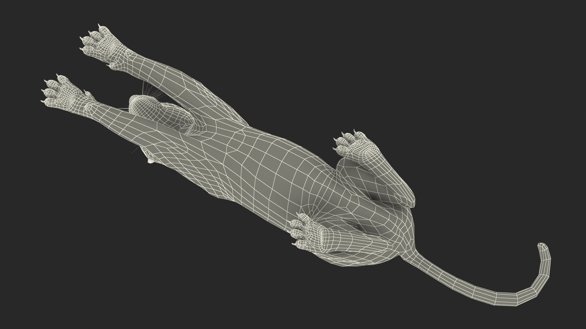 Jaguar Lying Down 3D