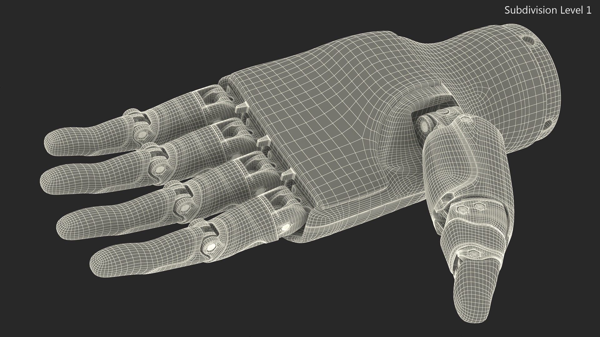 3D model Left Dexterous Robot Hand