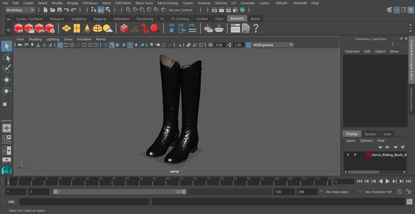 Horse Riding Boots Black 3D model