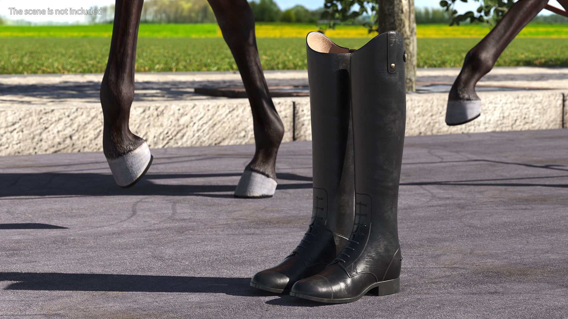 Horse Riding Boots Black 3D model