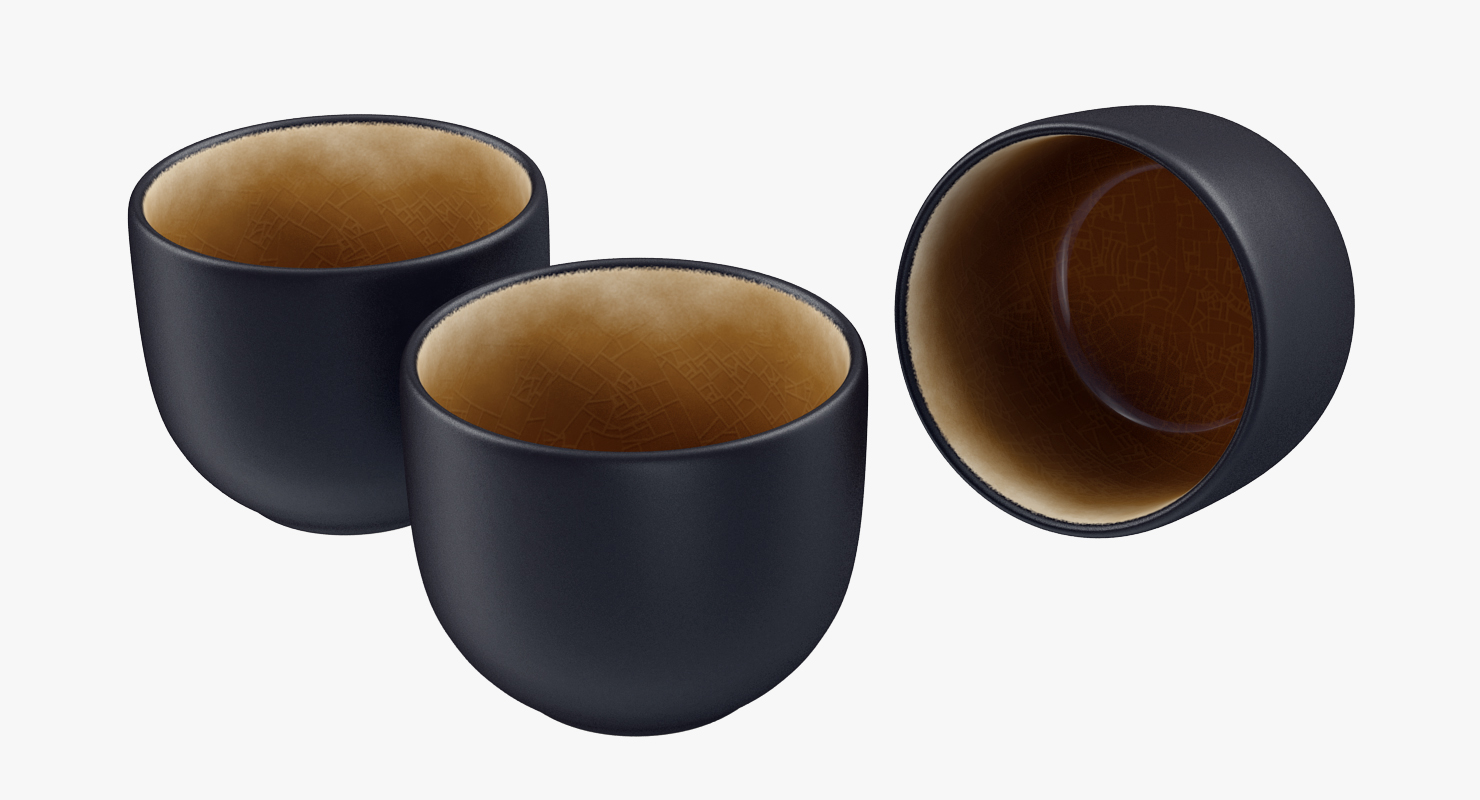 5 Piece Ceramic Sake Set 3D model