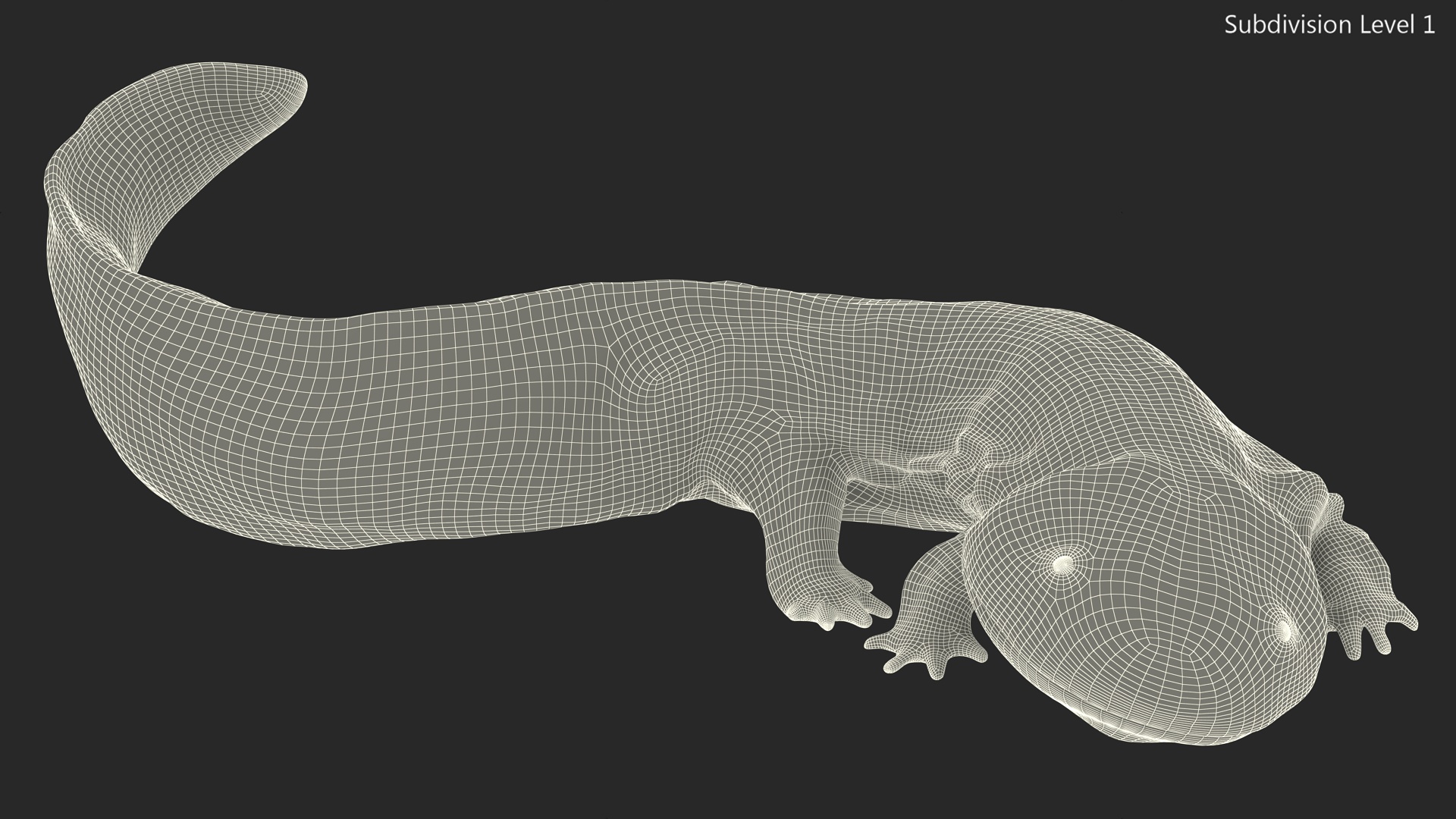 3D Salamander Dark Lying