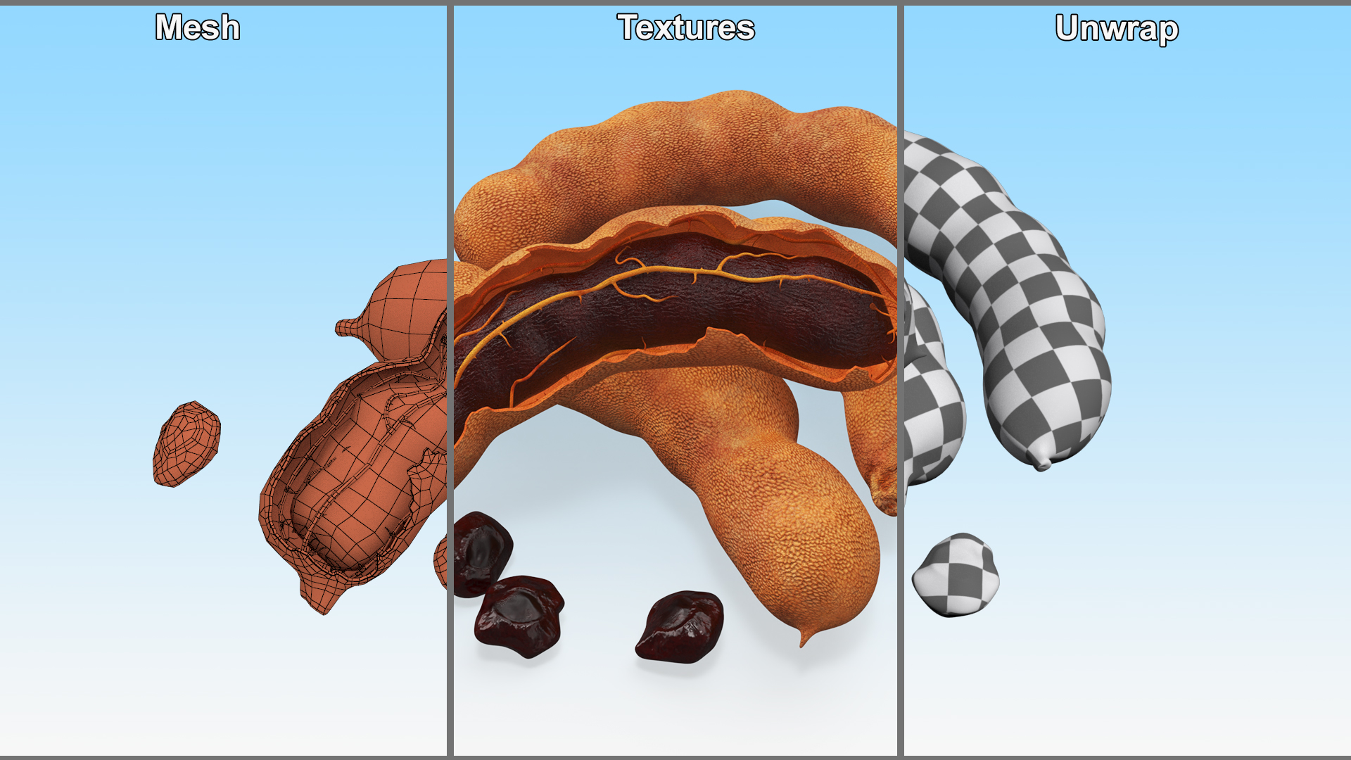 Tamarind Fruits Whole and Opened 3D