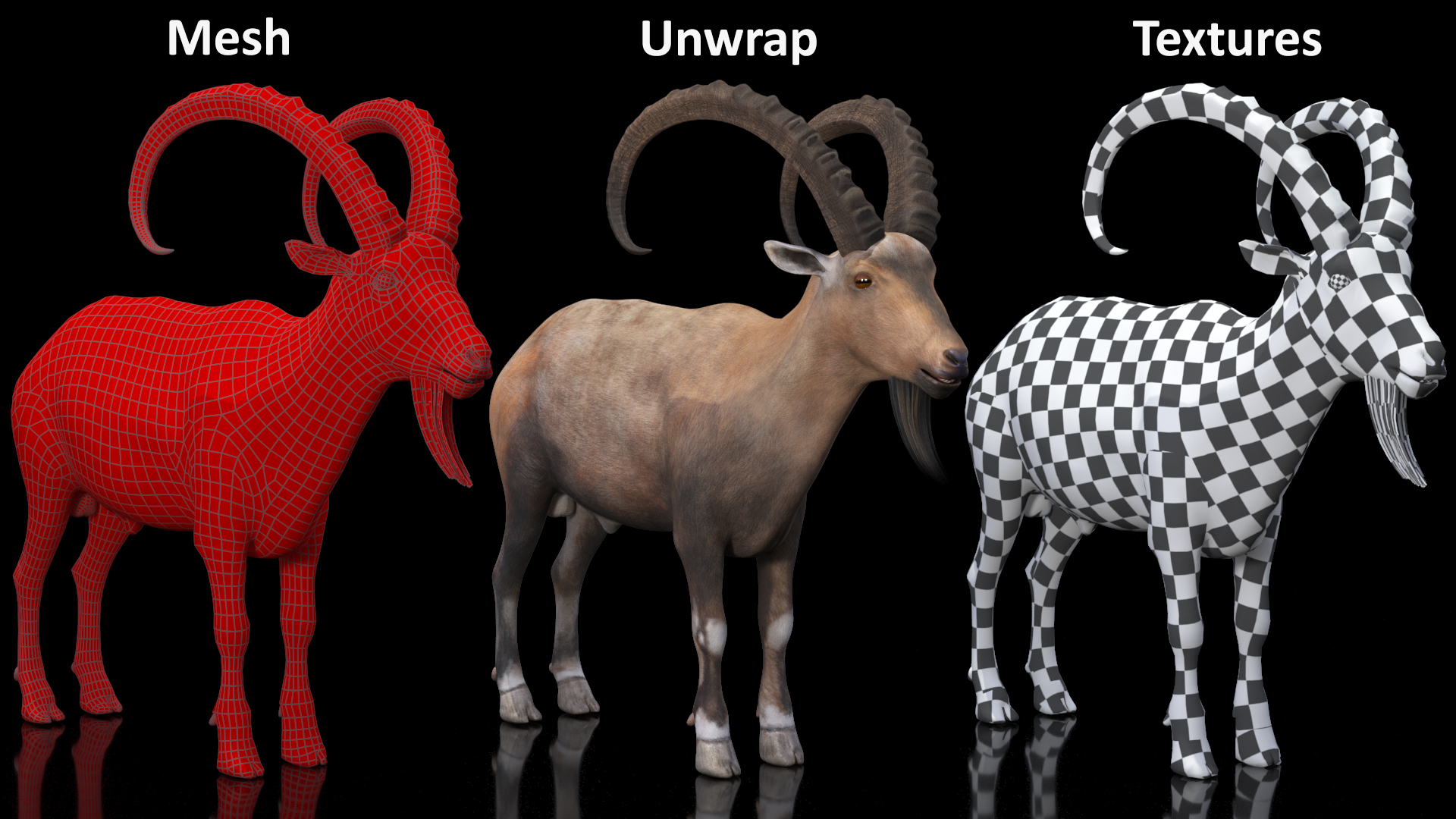 3D Alpine Ibex