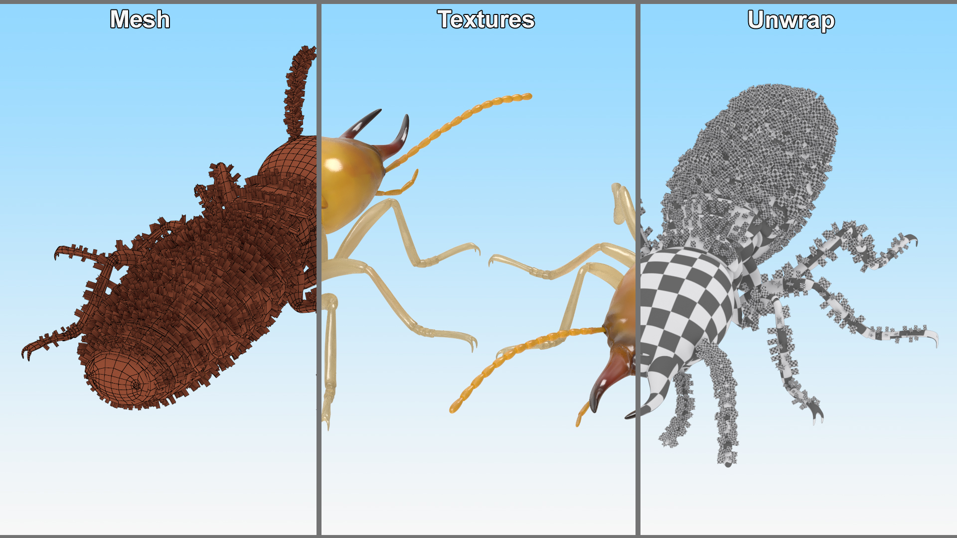 Termite 3D model