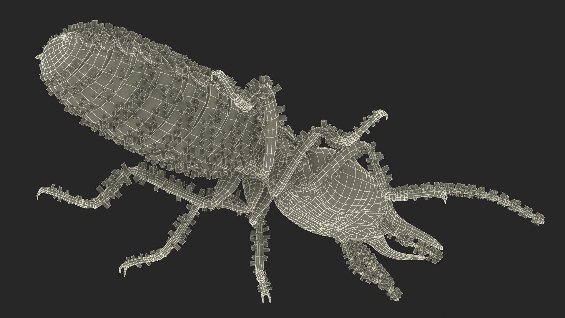 Termite 3D model