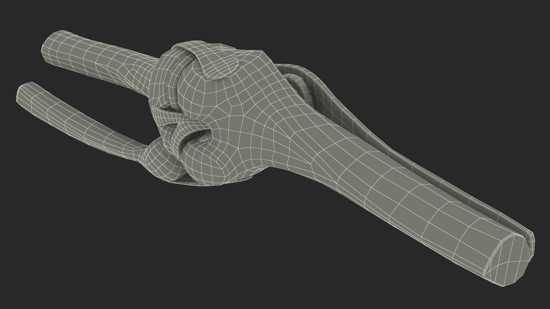 Knee Joint Model Rigged for Maya 3D