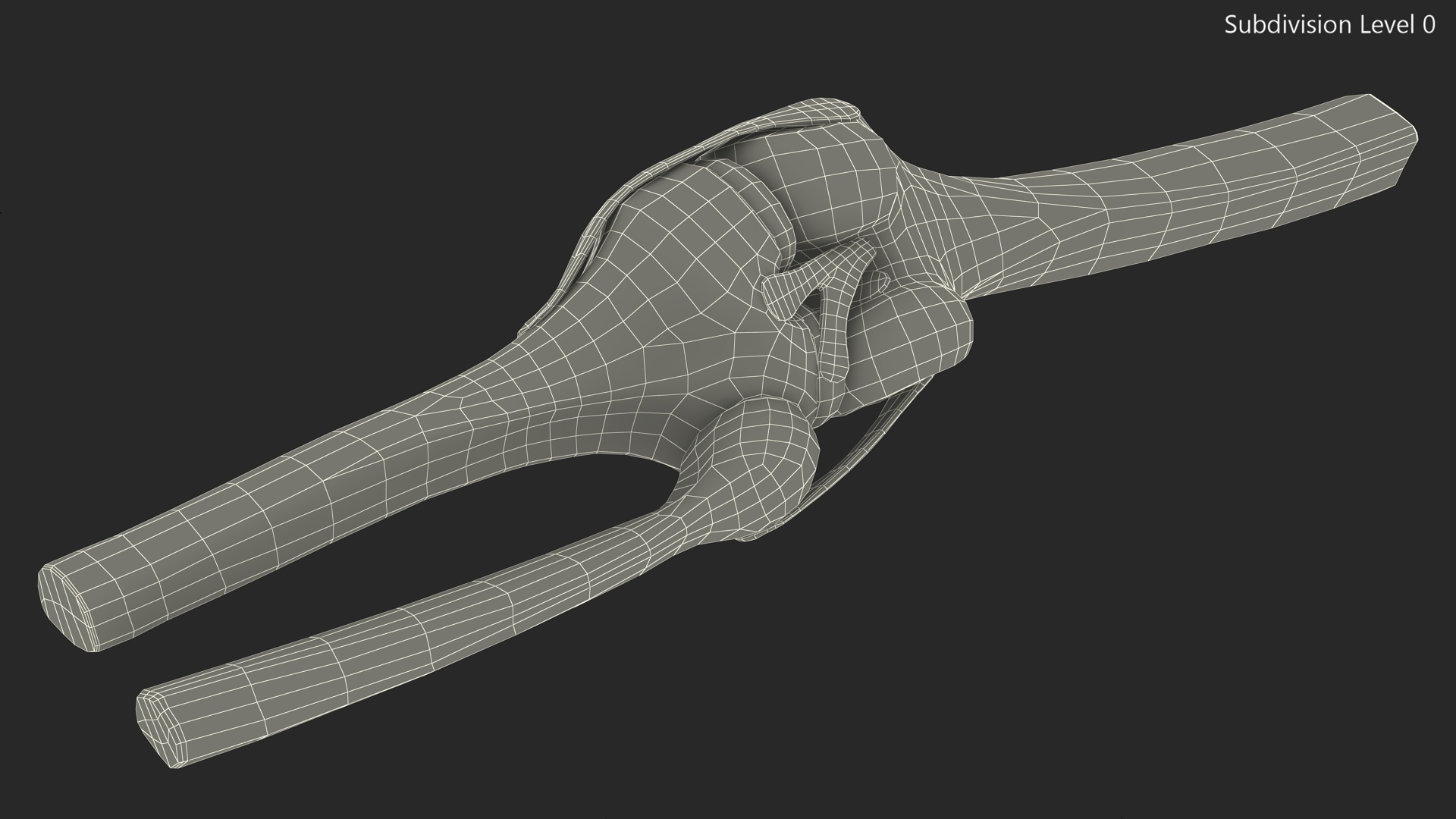 3D Knee Joint Model Rigged model