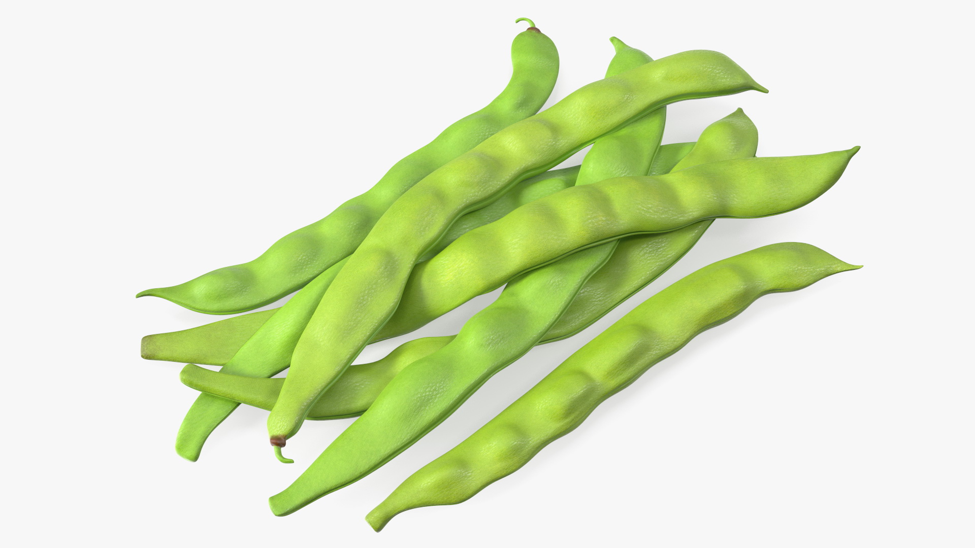 3D model Flat Beans