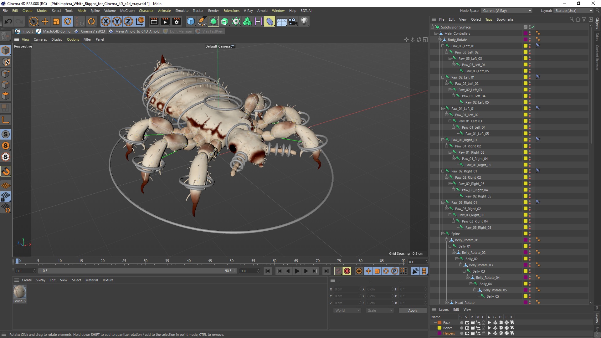 3D Phthiraptera White SSS Rigged for Cinema 4D model