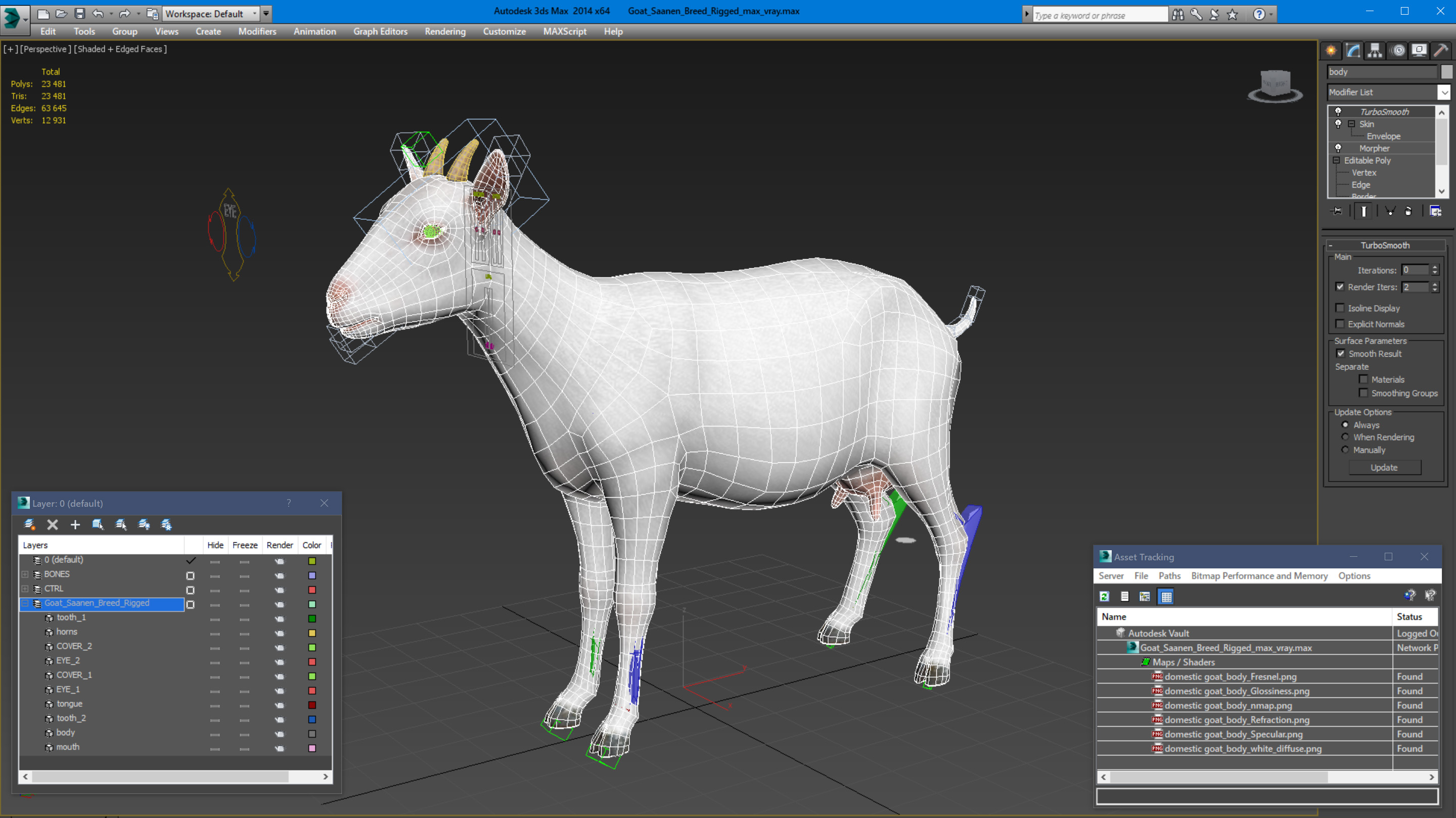 3D Goat Saanen Breed Rigged for Modo model