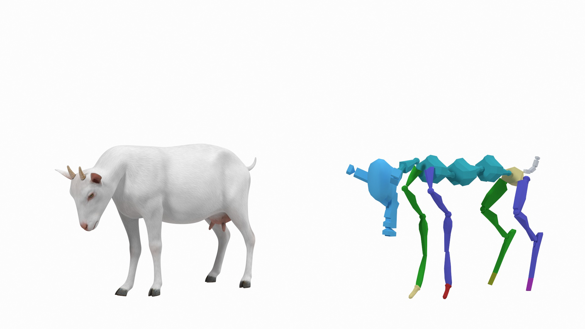 3D Goat Saanen Breed Rigged for Modo model