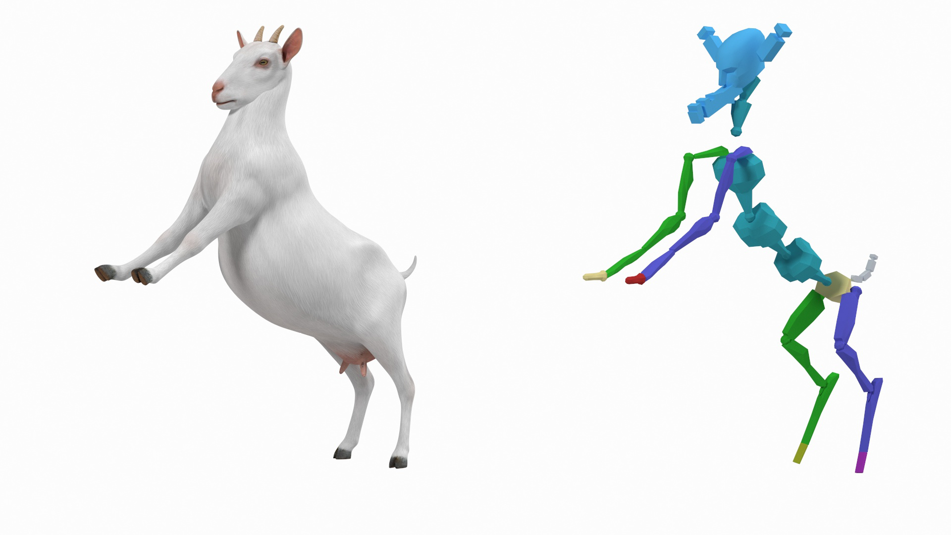 3D Goat Saanen Breed Rigged for Modo model