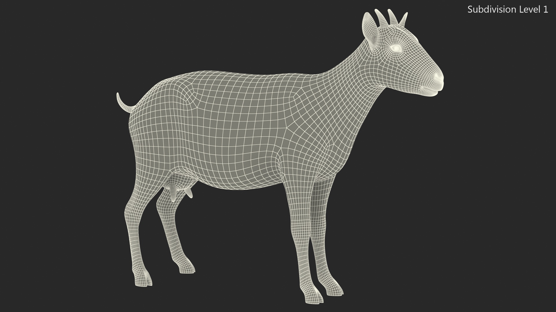 3D Goat Saanen Breed Rigged for Modo model