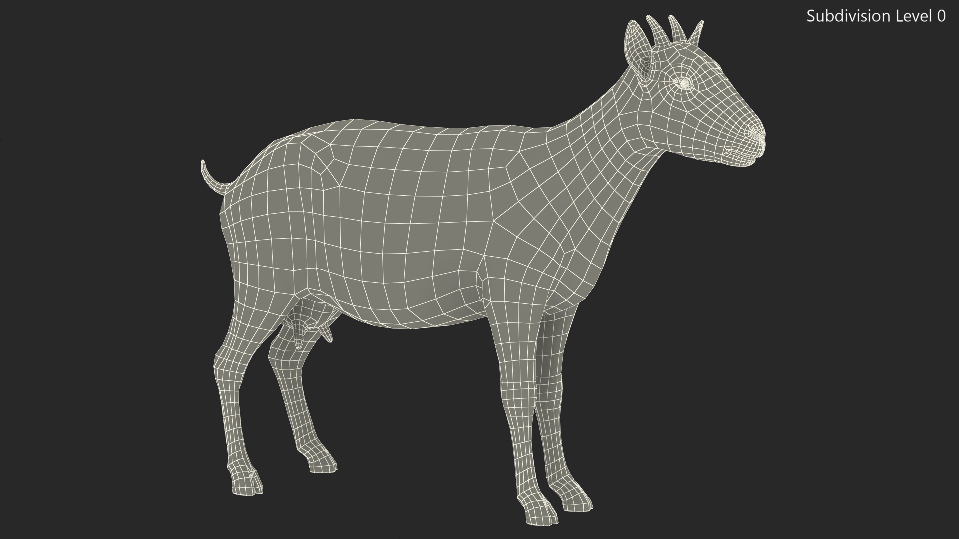 3D Goat Saanen Breed Rigged for Modo model