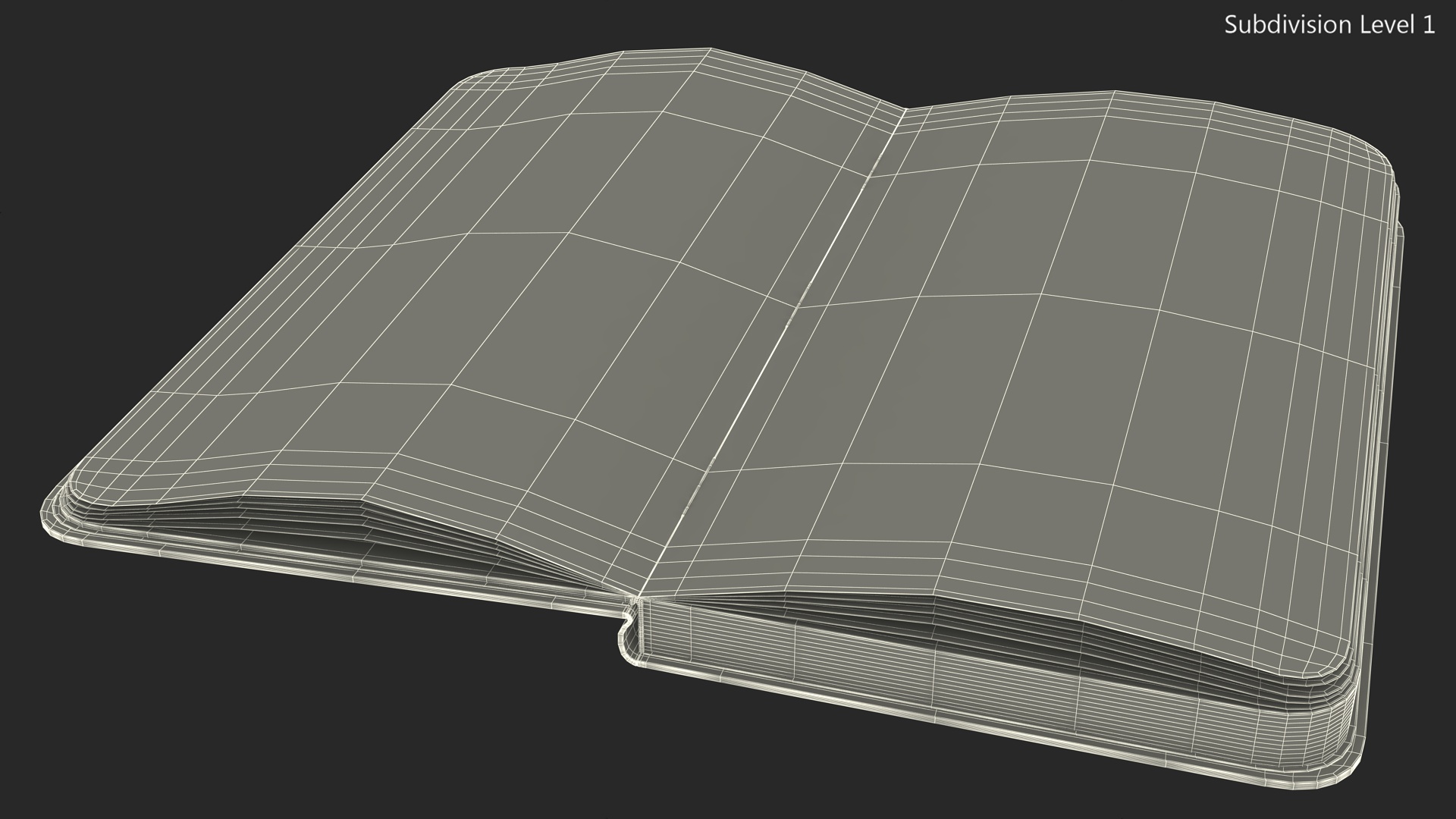 3D Opened Lined Notebook