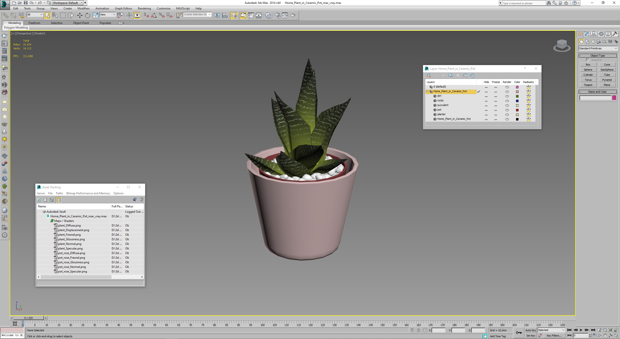 3D model Home Plant in Ceramic Pot