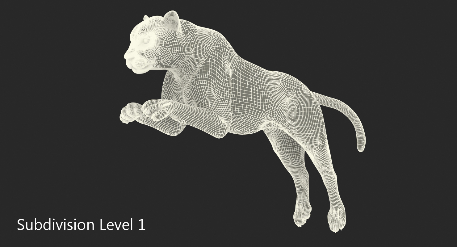 3D Panthera Pardus Jumping Pose model