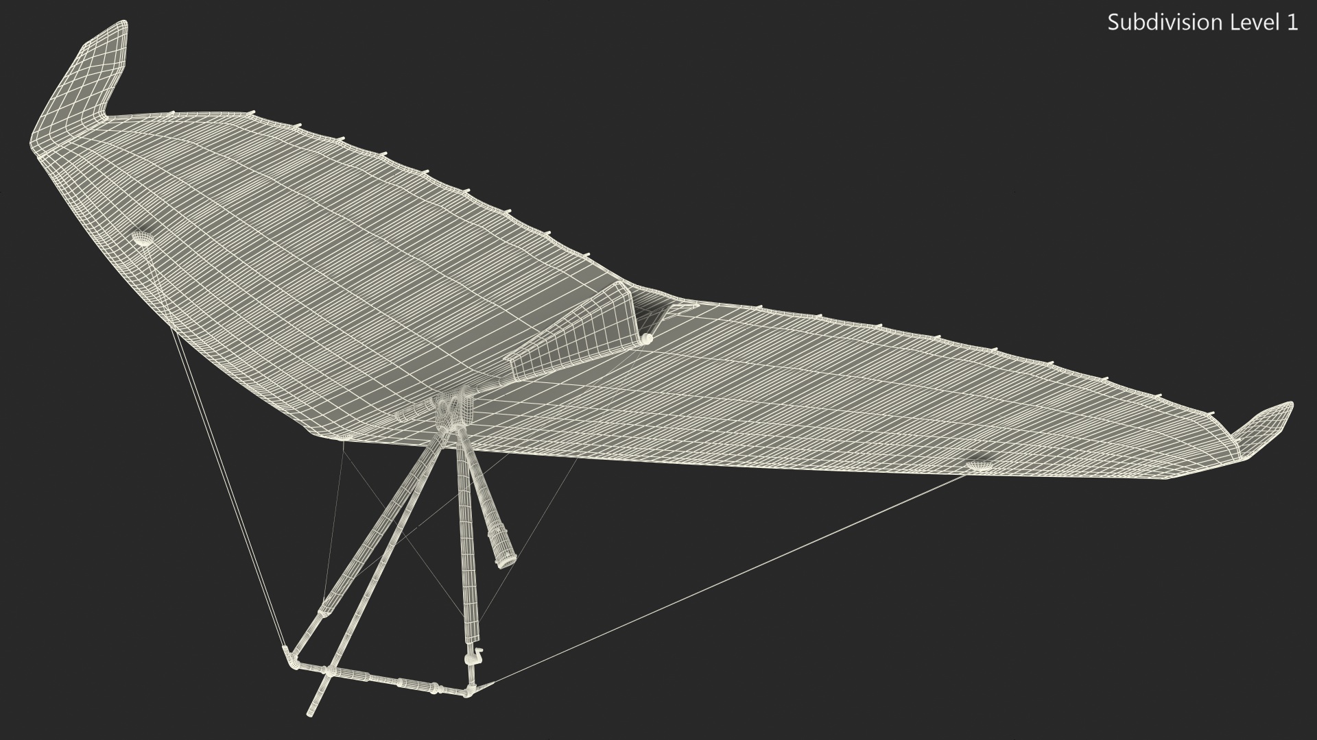 3D Hang Glider