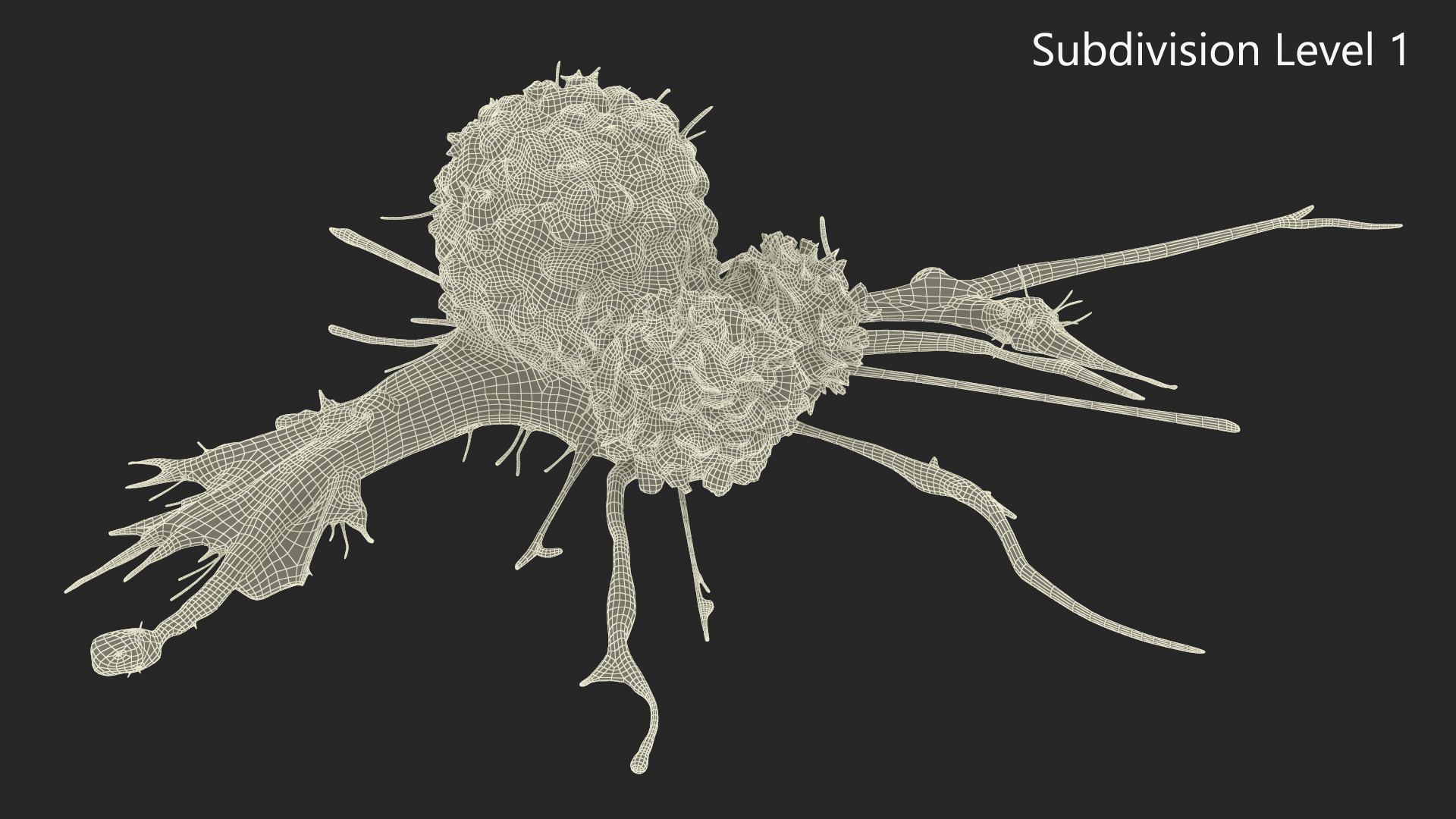 3D model Human Cancer Cell with 2 Lymphocyte