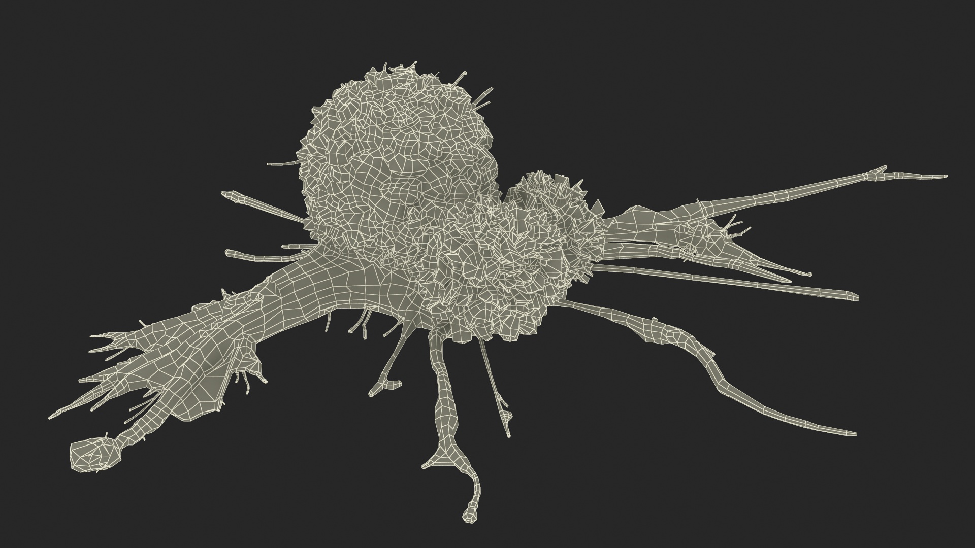 3D model Human Cancer Cell with 2 Lymphocyte