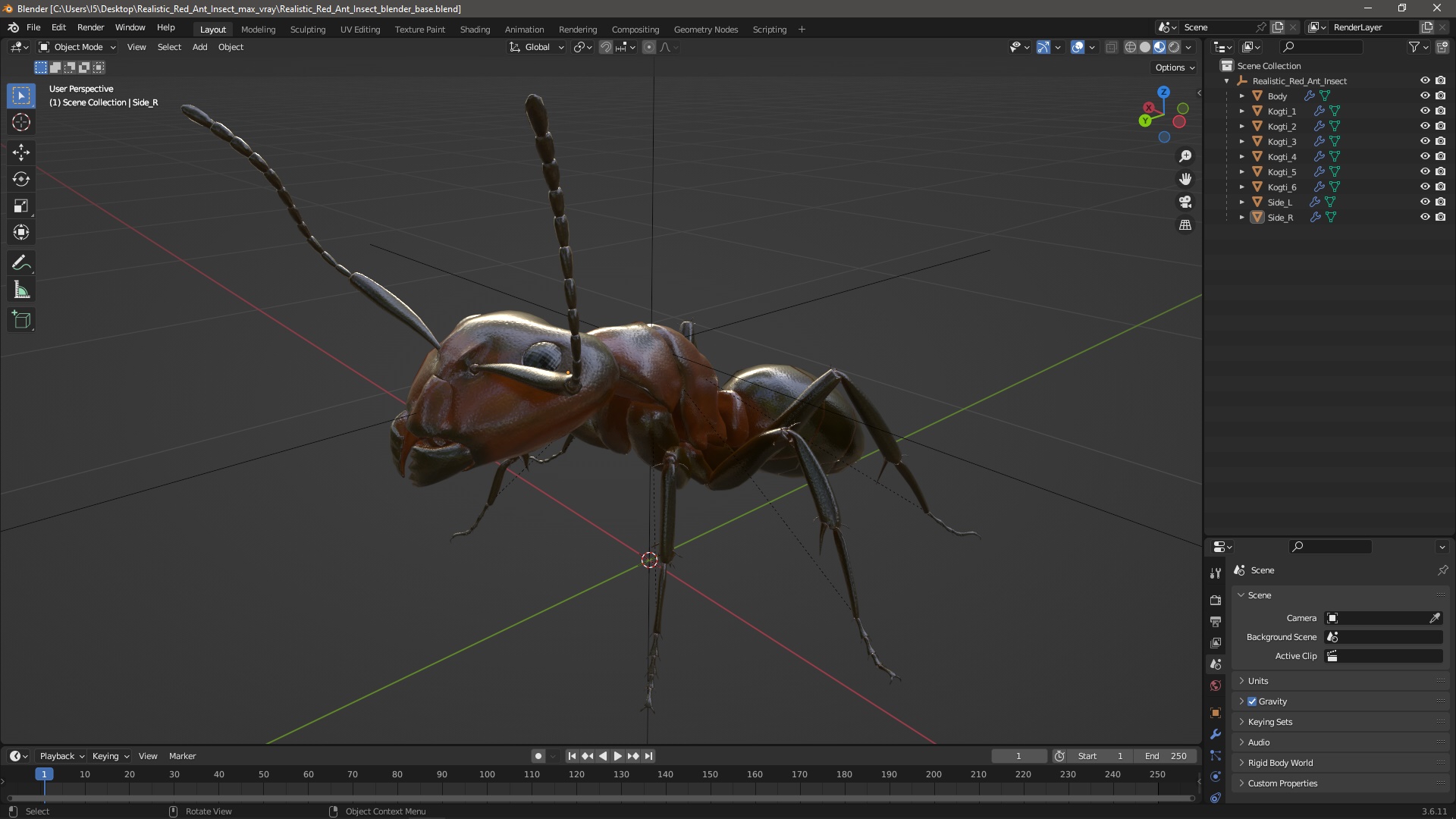 Realistic Red Ant Insect 3D model